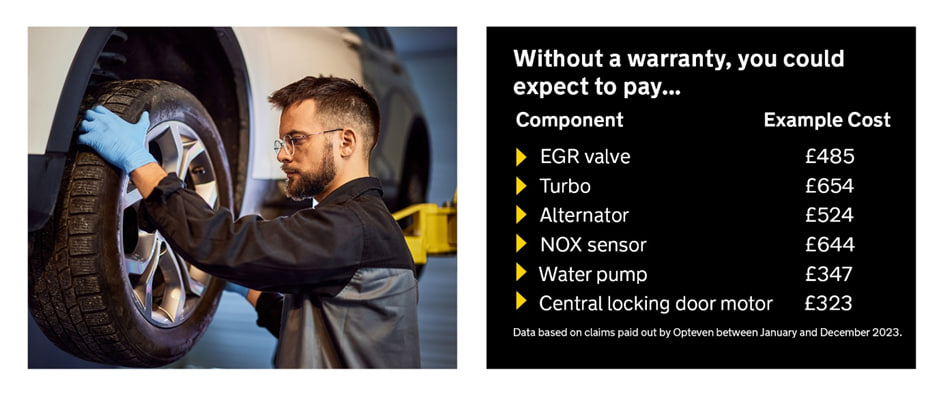 AA warranty cover